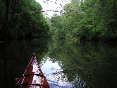 View from Kayak