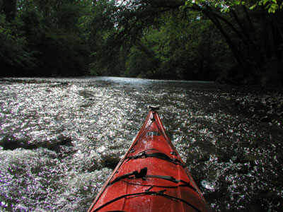 Reached the Rapids in
	  my kayak