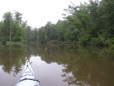 View from Kayak